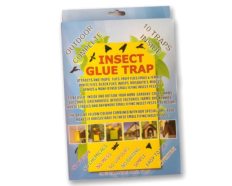 Insect Glue Trap - the pack