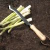 Asparagus Knife Pack - Burgon & Ball