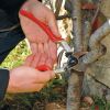 Felco 13 - pruning secateurs can be used with one or two hands.
