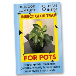 Insect Glue Traps for Pots
