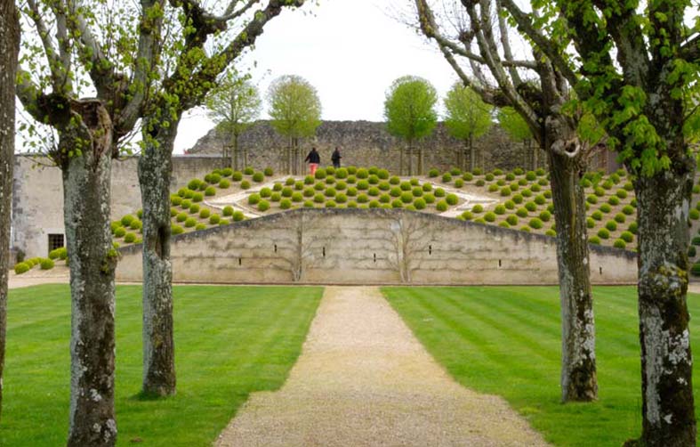 Naples Terrace and Box topiary - Chateau Royal d'Amboise