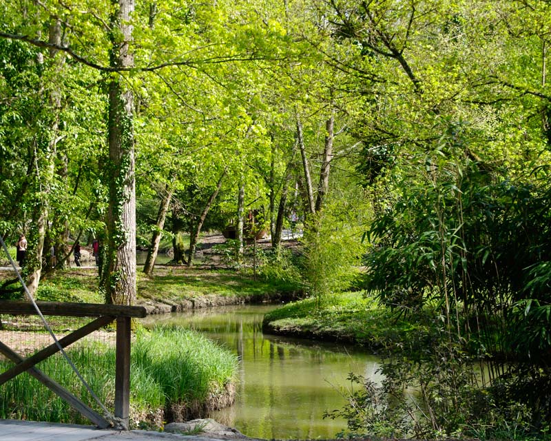 Garden stream - Chateau du Clos Luce and Parc Leonardo da Vinci
