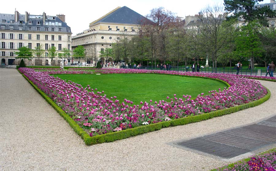 Tulip borders - Jardin de Luxembourg