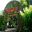 The Munro Martin Fernery -Flecker Gardens, Cairns Botanic Garden