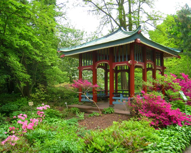 The pagoda in Berlin Botanical Gardens