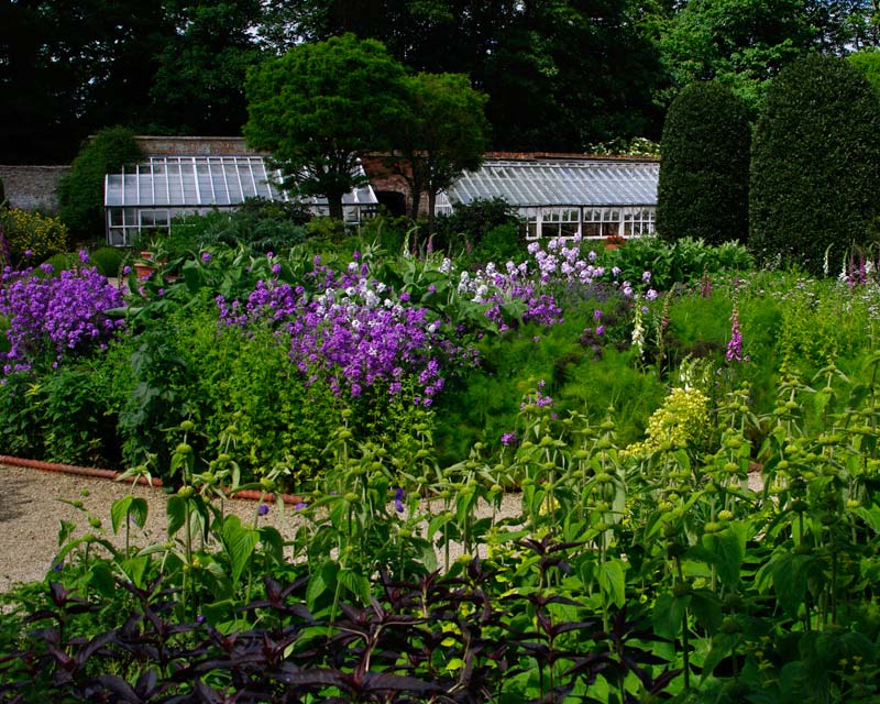 Flower garden at Loseley Park