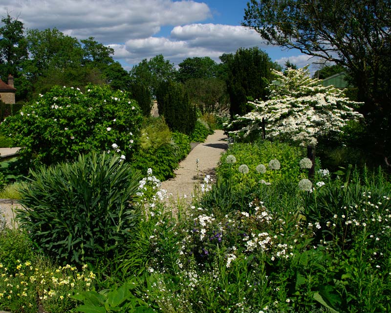 The White Garden at Loseley Park