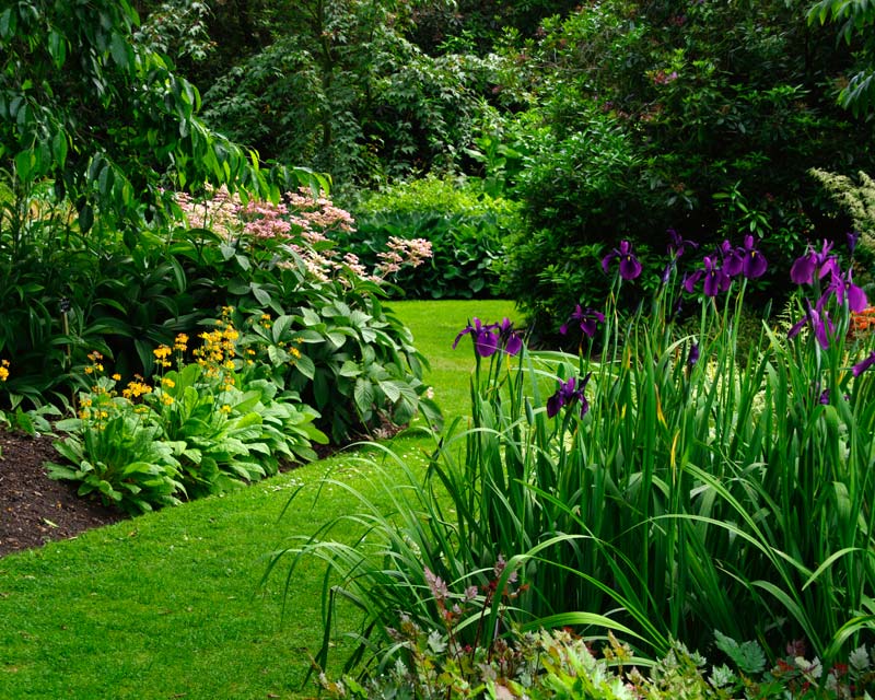 Savill Gardens - beautifully maintained flower beds and lawns
