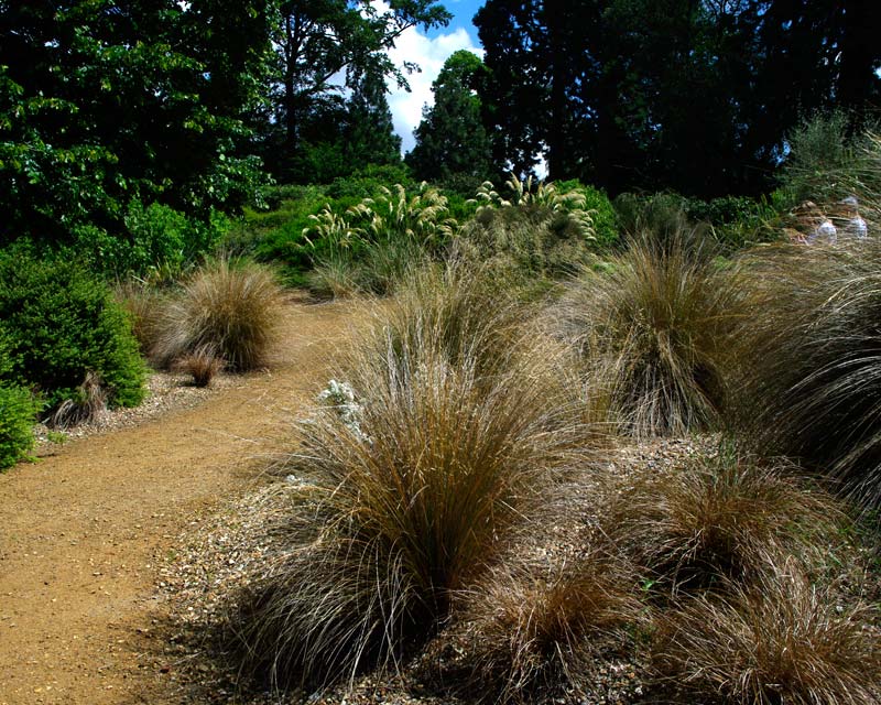 Savill Gardens - New Zealand Garden