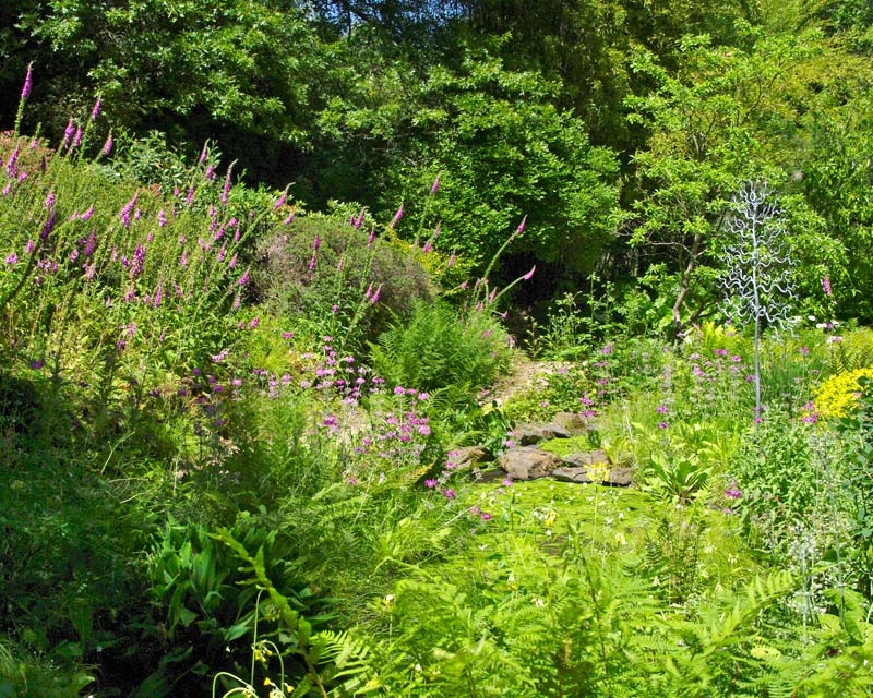 The Bog Garden - Sir Harold Hillier Gardens