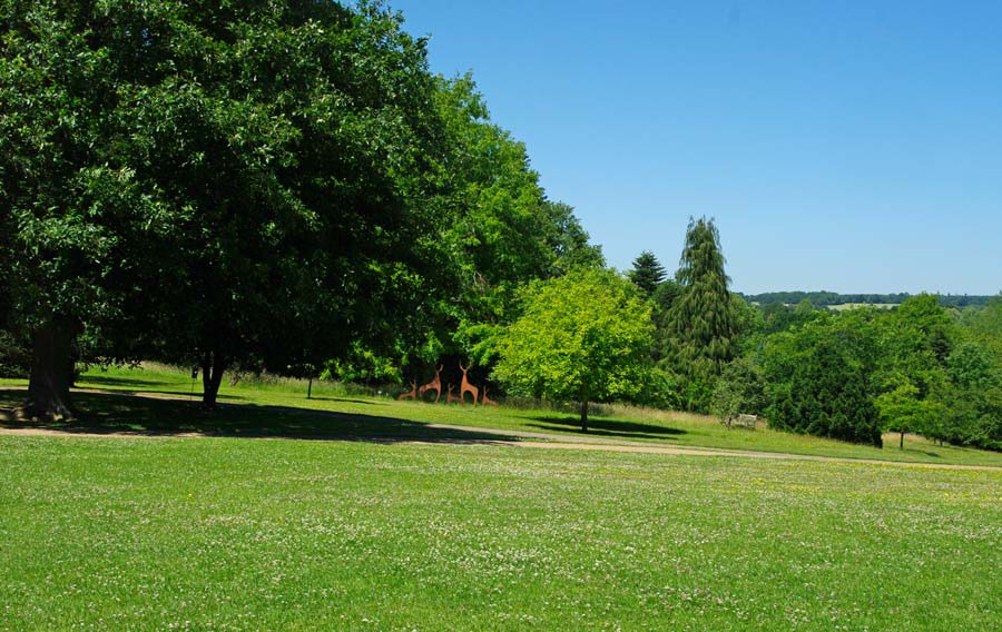 The Main Lawn - Sir Harold Hillier Gardens