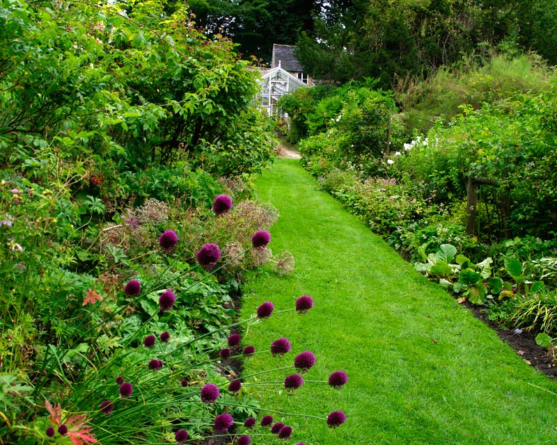 Summer borders - Cerney Gardens