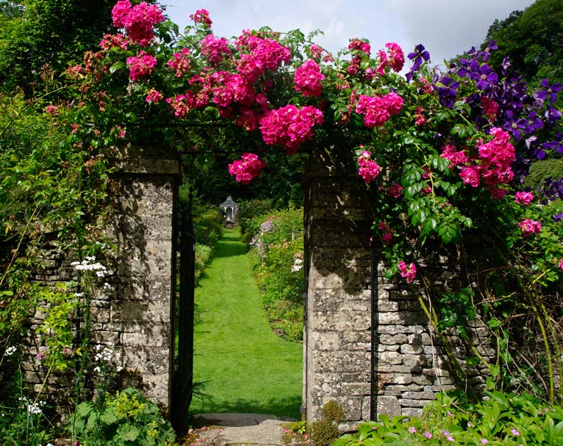 Summer roses adorn Gate to Garden - Cerney Gardens