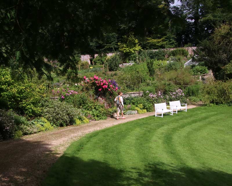 Path to main garden - Cerney Gardens