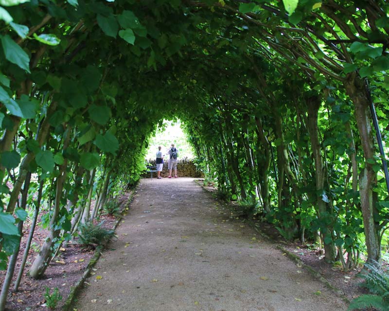 Green tunnel at Hidcote