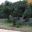 The Cycad Garden - Korakuen Gardens