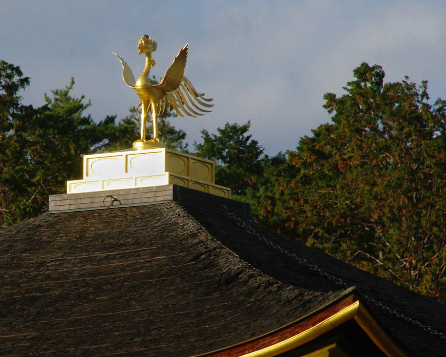 Kinkaku-ji, Golden Pavillion and Garden - Golden Phoenix on roof of Golden Pavillion