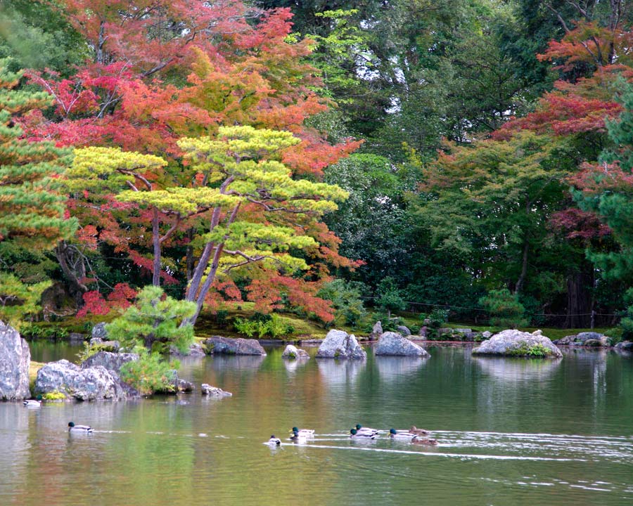 Kinkaku-ji, Golden Pavillion and Garden - Kyoto, Japan - view across Kyoko-chi pond