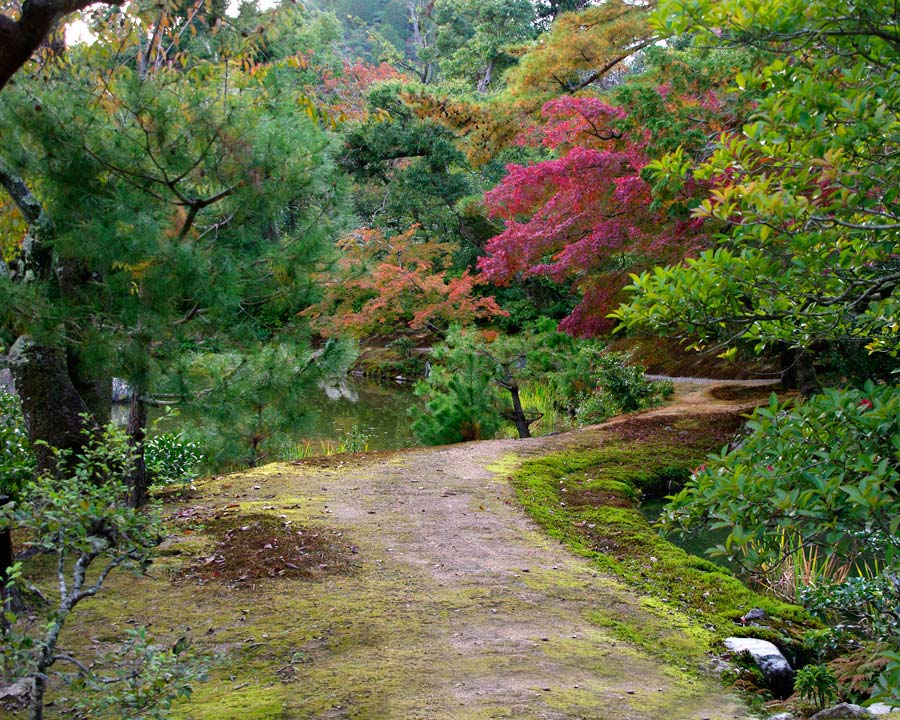 Kinkaku-ji, Golden Pavillion and Garden - path around lake