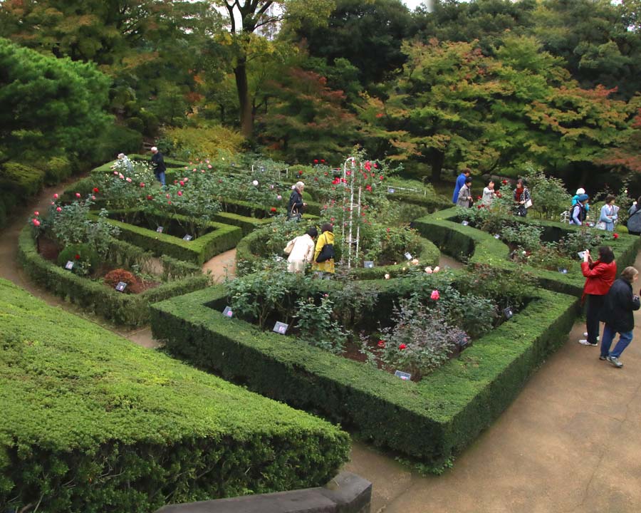 Kyu-Furukawa Gardens, Tokyo