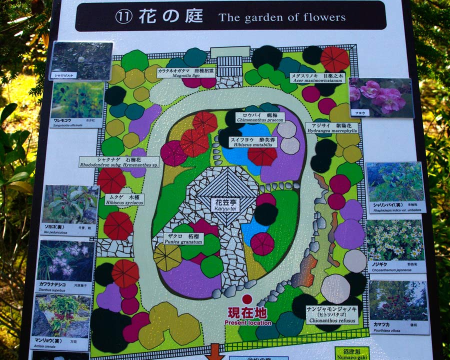 Hemiji Koko-en, Garden of Nine Rooms - Room 7 The Garden of Flowers - maps of garden show plantings very clearly