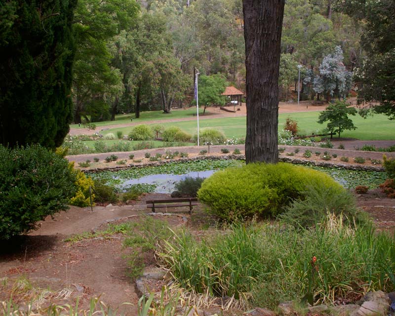 Views across Araluen Botanic Park