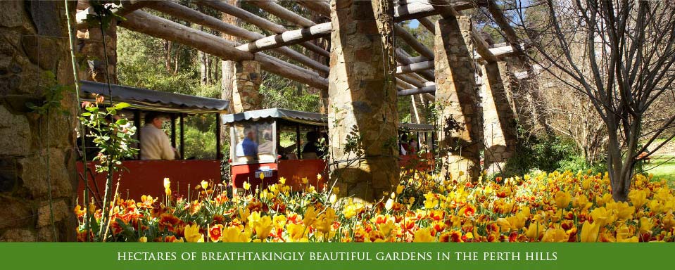 Araluen - a good day out, yet only 20 minutes from Perth CBD