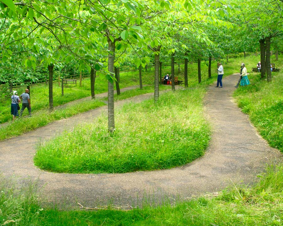 Winding path through Cherry Orchard - Alnwick Garden