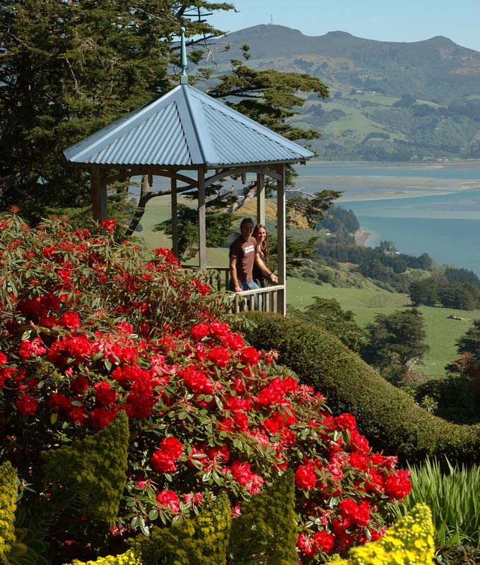 The look out - image supplied by Larnach Castle