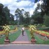 Mature gardens with sweeping lines and towering trees - Royal Botanic Gardens Peradeniya