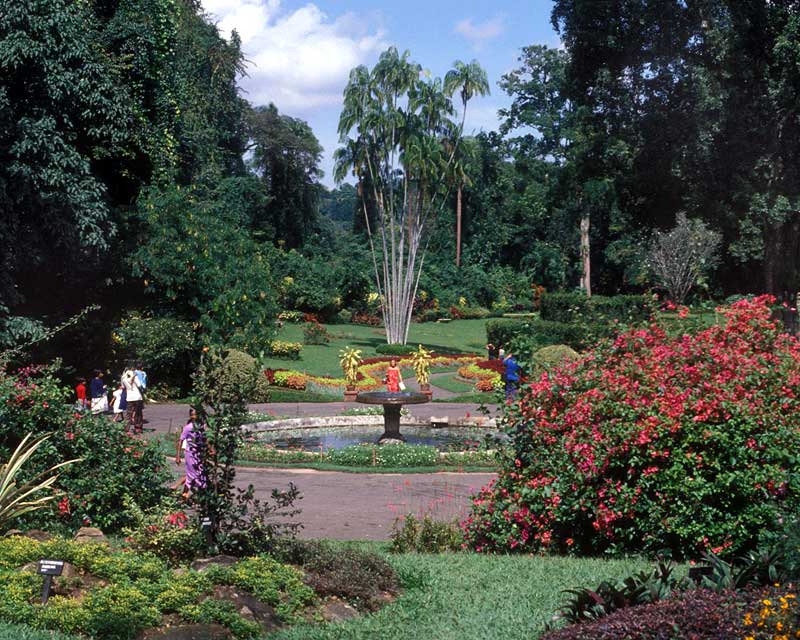 Very lush, tropical plantings - Royal Botanic Gardens Peradeniya