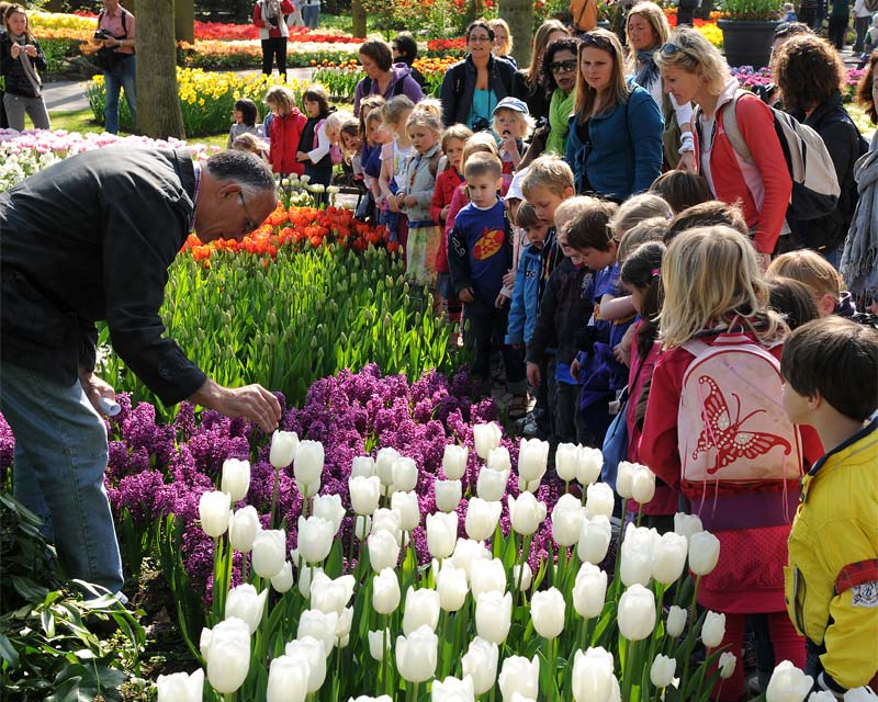 Programmes for schools and kids in general make this an excellent day out - or two, or three. - photos supplied by Keukenhof