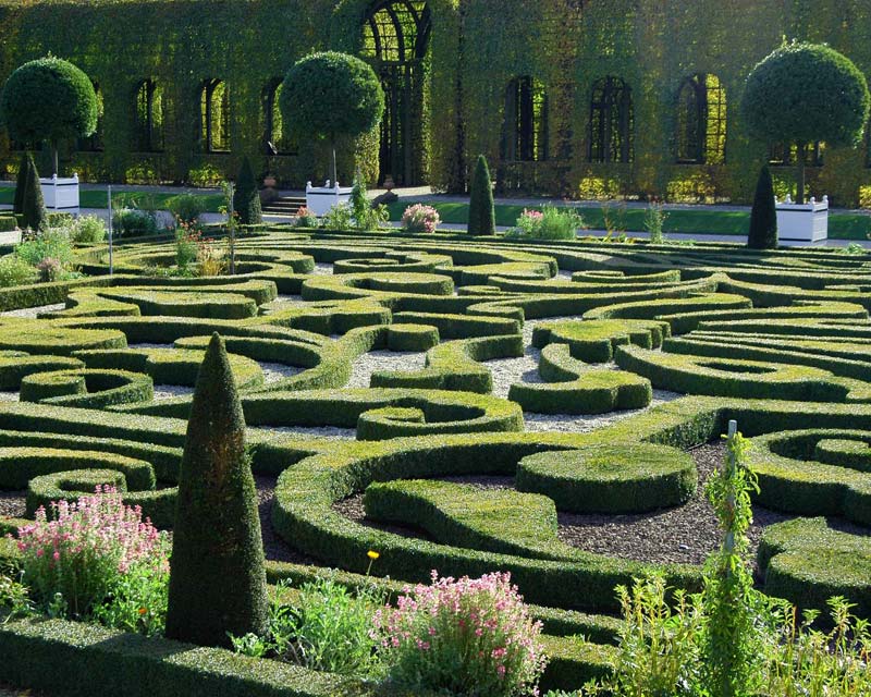 gardenscapes hedge maze day 3