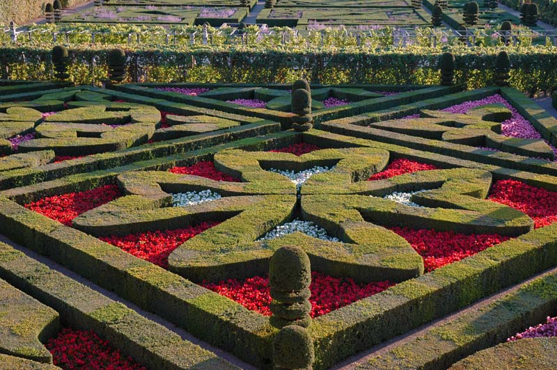 Topiary at its finest - photo supplied by Chateau Villandry