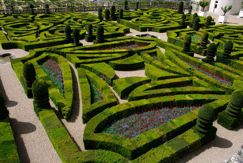 'Tragic Love' on of the four squares that form the love gardens. It represents daggers used in duels over love. - Chateau Villandry