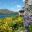 Garden view over Lake Coniston - image supplied by Brantwood Gardens