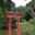 Japanese Hill and Pond Garden - Brooklyn Botanic Gardens - photographer Peter Barber