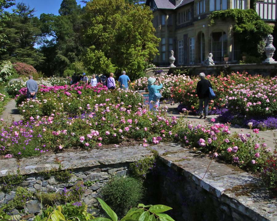 The Rose Garden at Bodnant Gardens