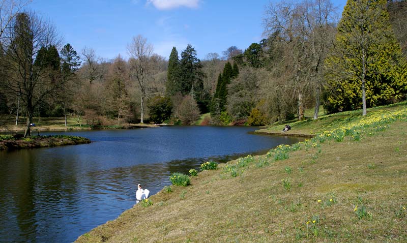 Banks of the lake - Stourhead Gardens
