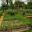 Le Jardin Potager - Les Jardins du Manoir d'Eyrignac