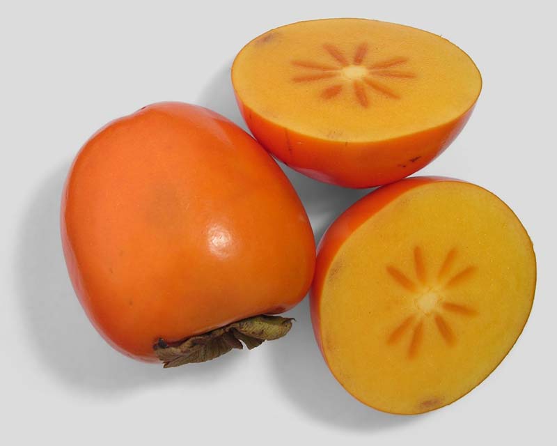 Diospyros kaki - persimmon fruit - photo by Olegivvit