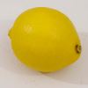 Citrus limon Lisbon - classic thin skinned lemon