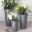 Florist Bucket - Charcoal - Small, Medium and Large - Burgon & Ball