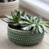 Castello Bowl - 16cm - Small Succulent Pot
