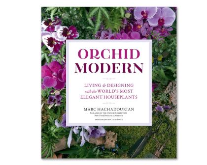 Modern Orchid - Marc Hachadourian