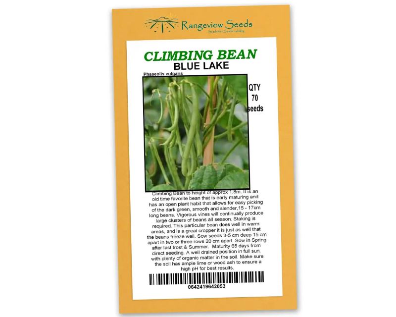 Climbing Bean 'Blue Lake' - Rangeview Seeds