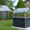 Plant Inn - Mini Greenhouse