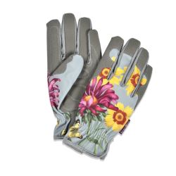 Asteraceae Gloves - RHS