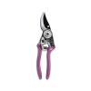 Secateurs - Asteraceae Pruner & Holster Set - RHS