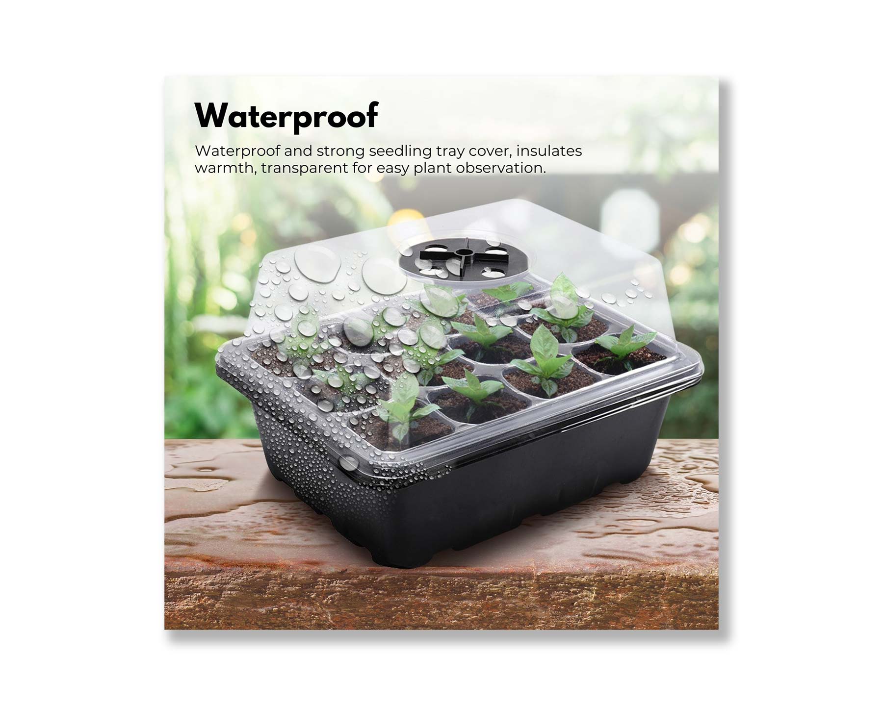 Seed Starter Tray with Grow Light